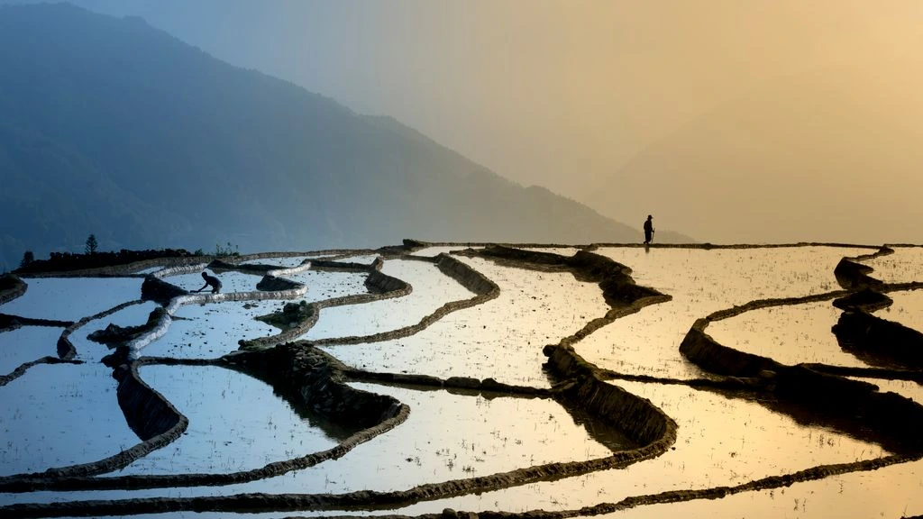 Colonial-era penjing terrace at Yuh Siang Garden, photographed at dawn